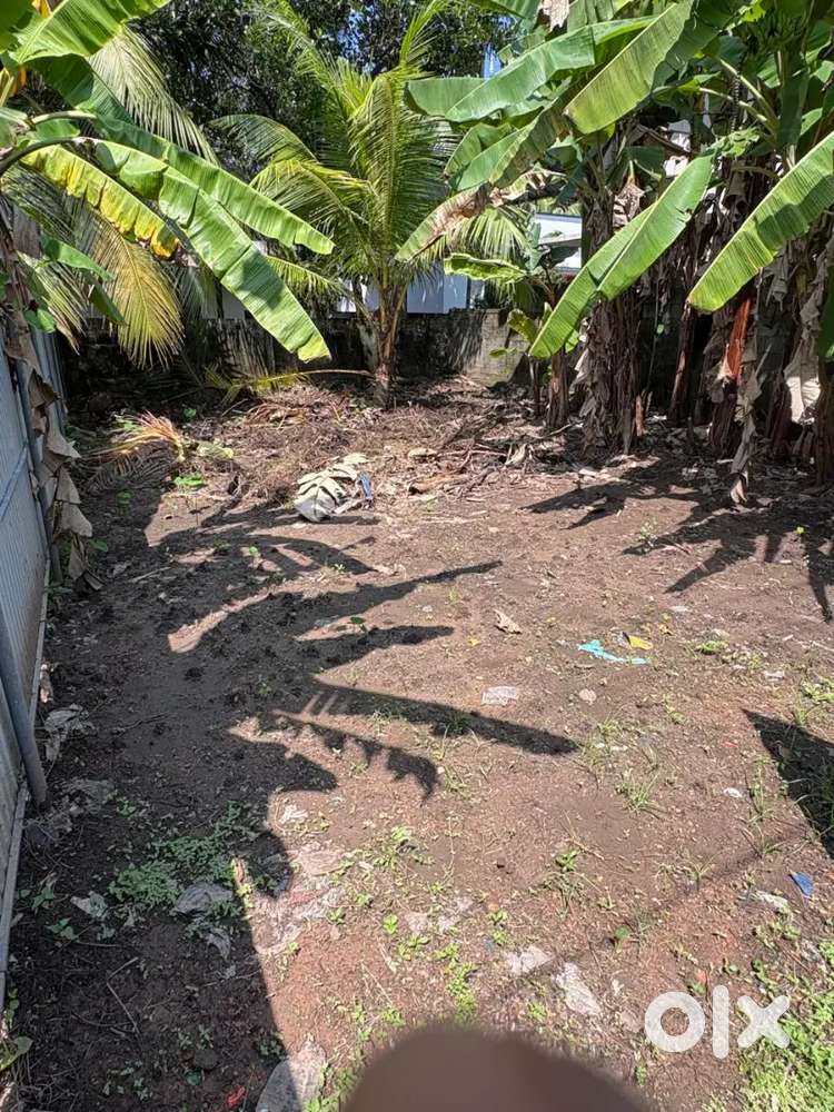 3 cent plot at Poovanpuzha near thykkavu. 7 lakhs per cent