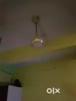 Branded Ceiling fan