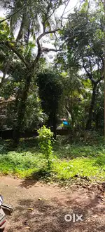 10 CENT RESIDENTIAL SPACE FOR SALE AT KAPPAD, KANNUR