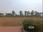 PLOTS NEAR TO AMITY UNIVERSITY FOR SALE