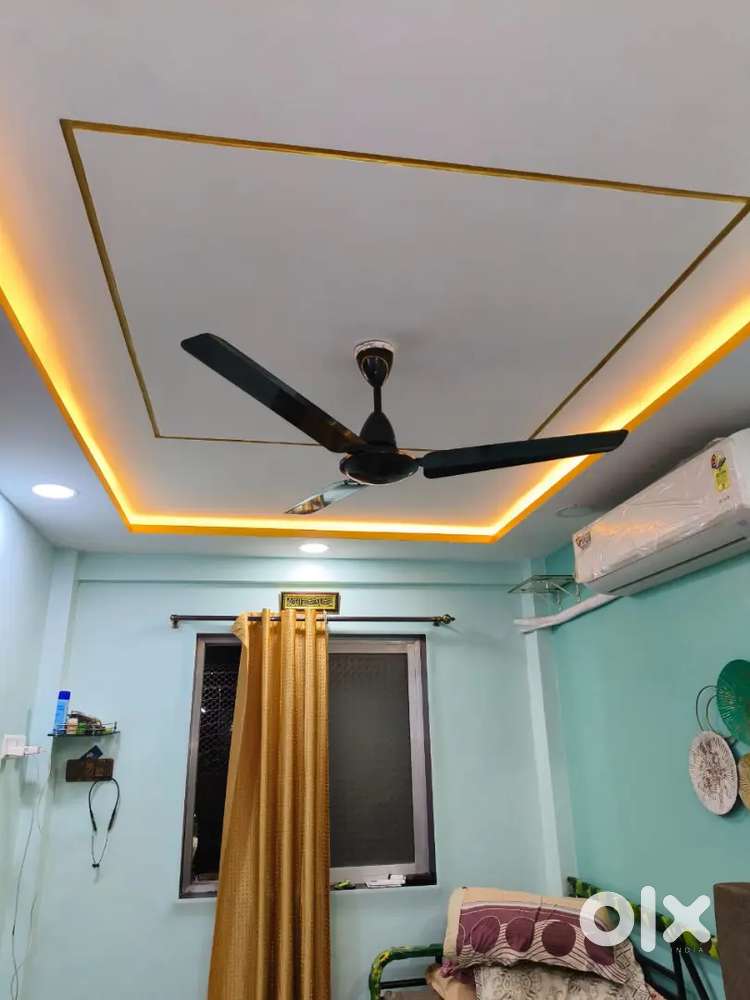 1rk 225carpet ownership society