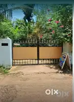 15 cent plot with House
