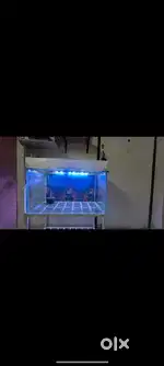 Fish tankk