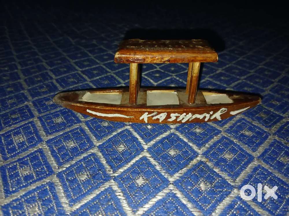 Kashmiri shikara little version