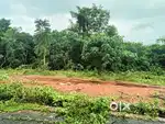 6 Cents Residential Land – Clear Title- near Sampige Resort