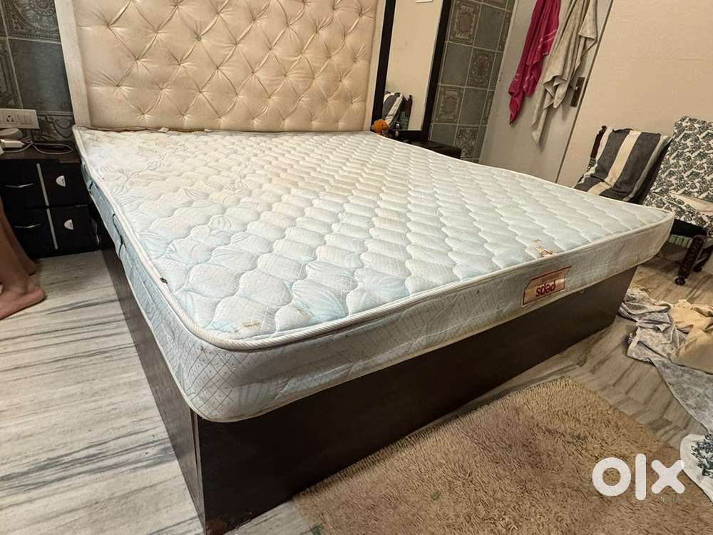 Peps company - spring mattress