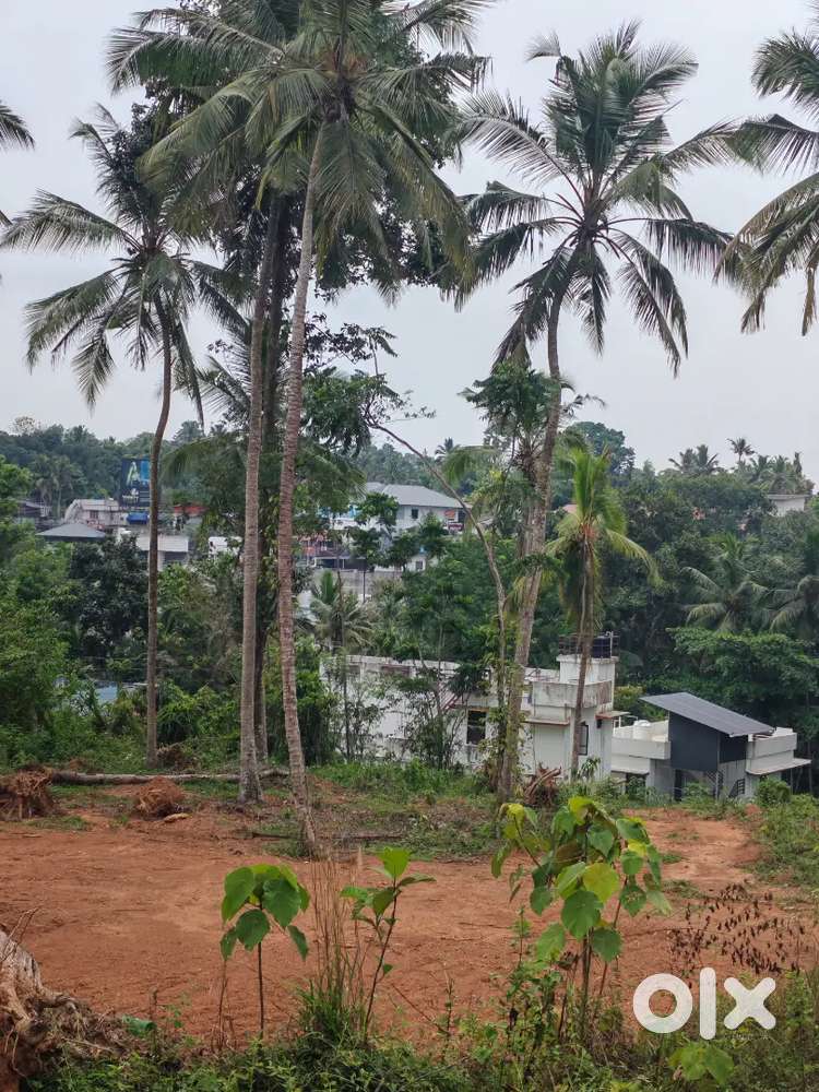 10 cent 3.50 per cent