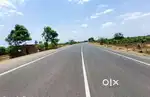 Nellore Dist Kavali to just 5 kms golden investment land for sale