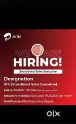 Fiber Sales executive