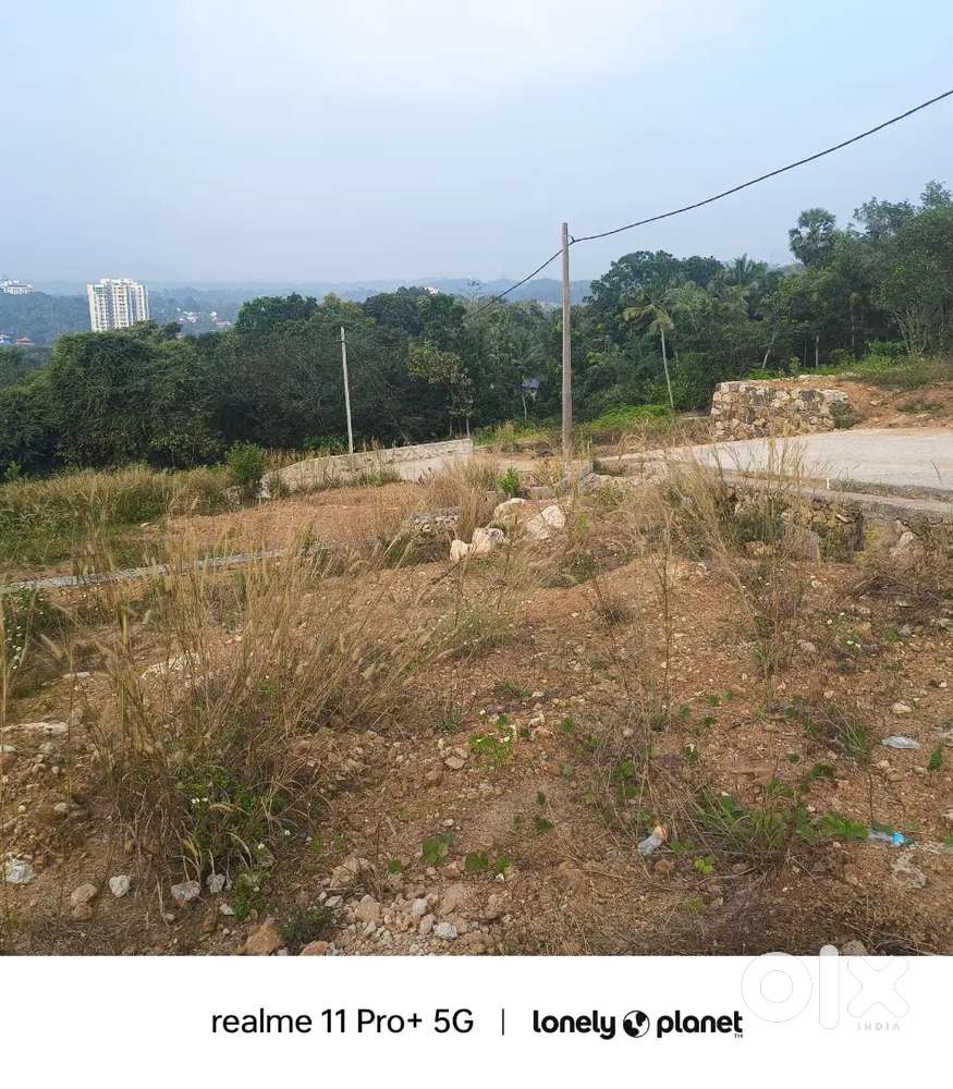 8 cents Land at Mukkola for Sale