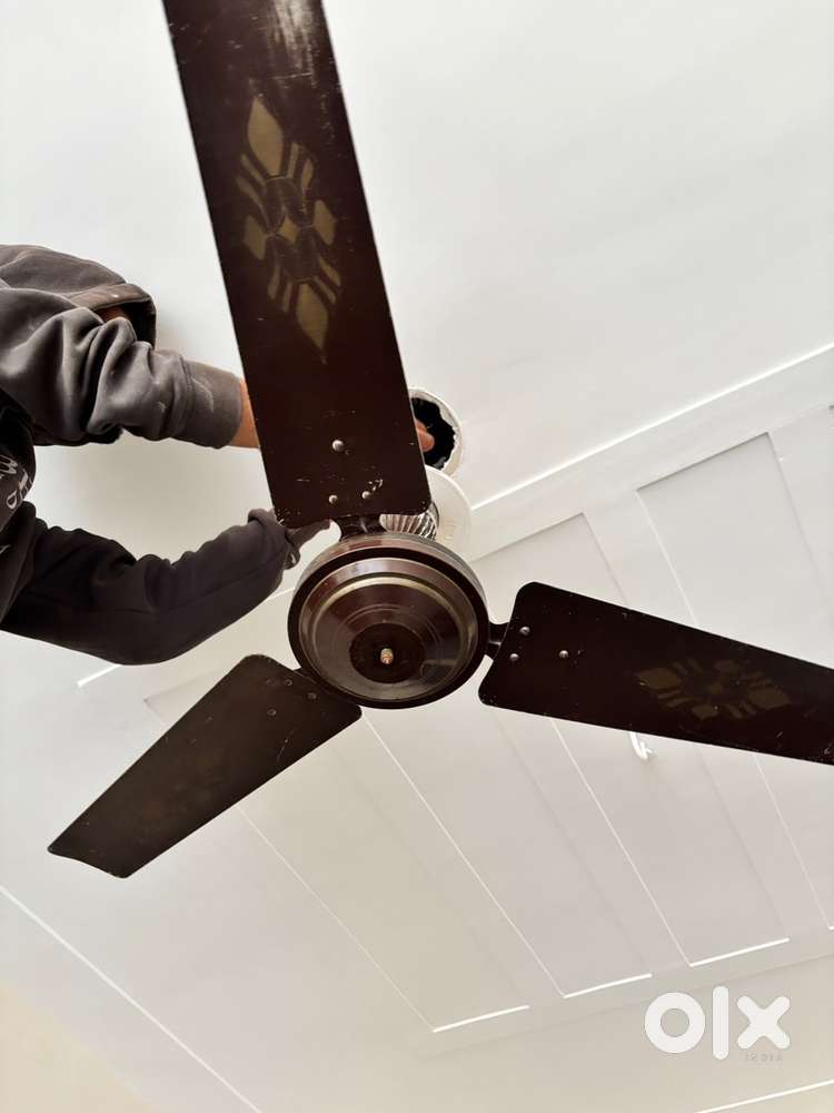 2 ceiling Fan in working condition
