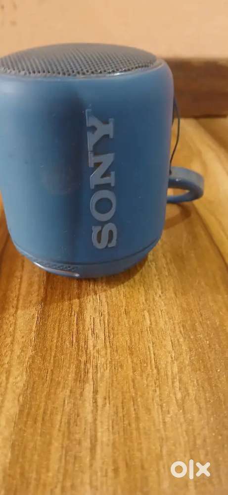 Sony speaker