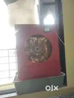Dessert cooler 4 feet