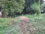 9 cent plot for sale near Aluva Paravur kavala