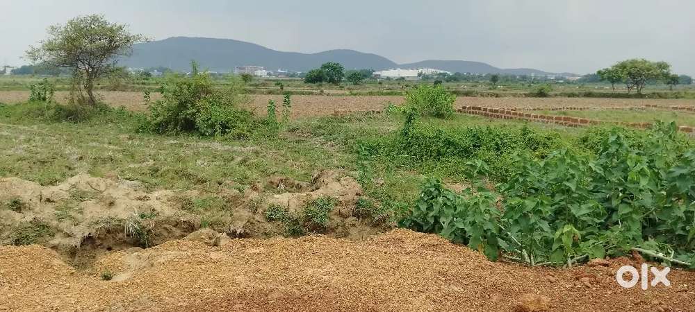 Investment Plotting Project Start From Near 60feet Road Pitapalli