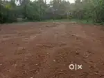 35 cent plot near Paliyekara Toll plaza