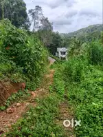 Premium 1.5 Acre Land for Sale – Thiruvananthapuram