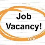 Office Staff Vacancy Available