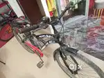 Avon Cycle