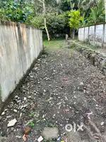 10 cent Dry land for sale