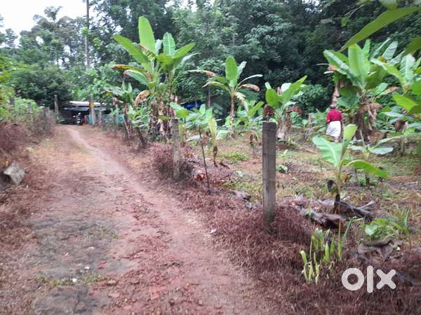 12cent plot(4 ARE 50sq meter ) 2 sided road frontage