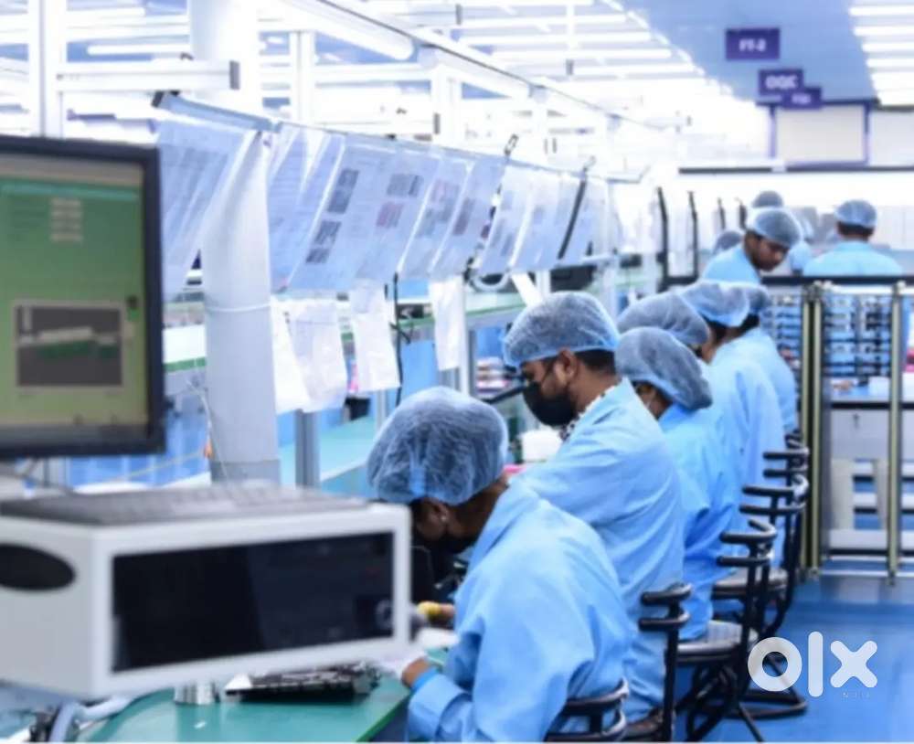 Hiring for  freshers