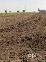 2.5 acres Land For Rent in Gachibowli financial district vatti nagulap