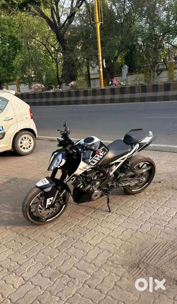 Perfect condition duke