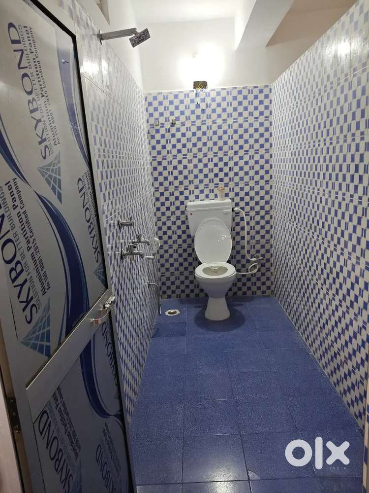 Bacholer first preference