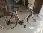 Cycle  20 inch