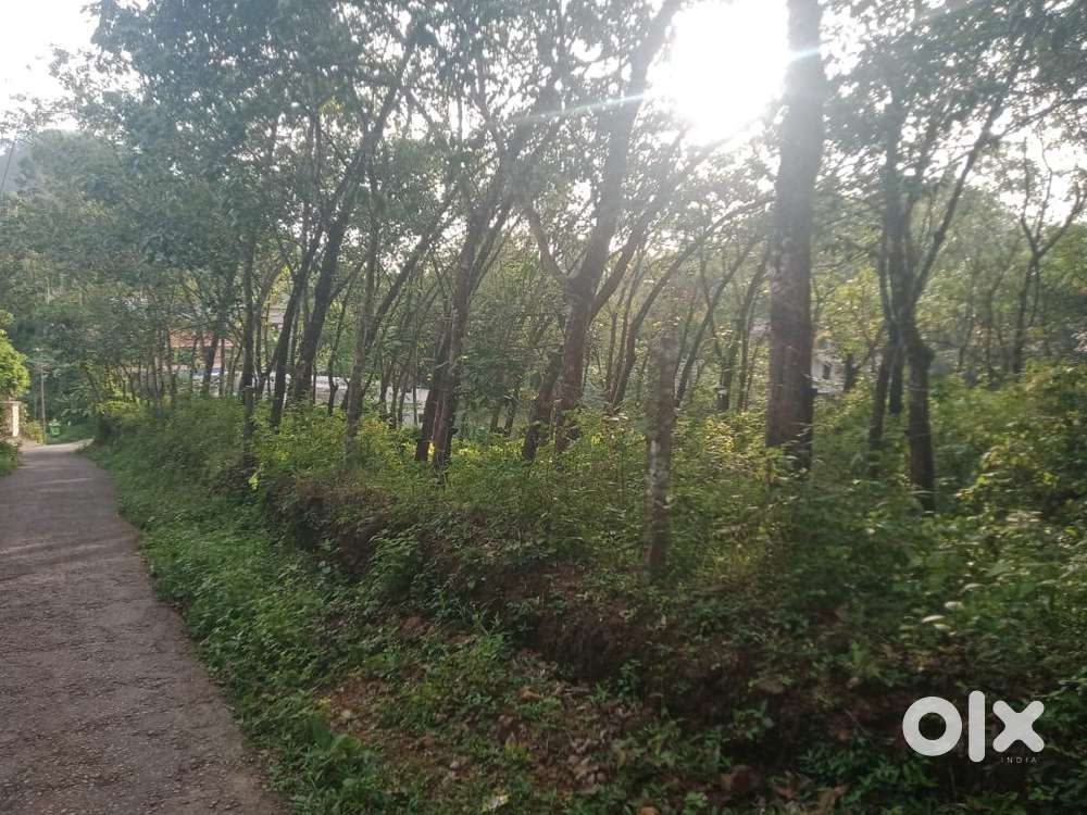 2.25 acres land, 38000 per cent