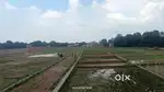 Plot / House / Flat Buy & Rent-- Near Faridipur police choke,Dubagga
