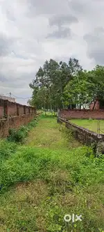 Multipurpose plot