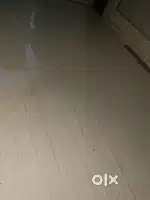 Electric Iran