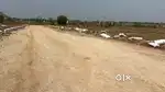 Agriculture lands at shankarpally Vikarabad road