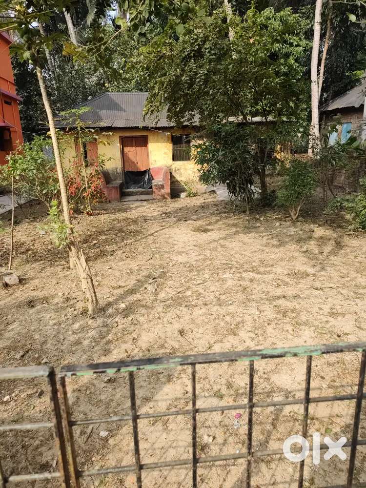 4.6 katha land immediately sell needed, all papers are Ok