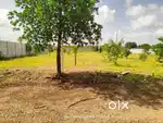 EAST FACING 250 SQRD PLOT FOR SALE IN MOINABAD