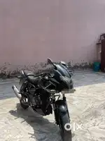 pulsar 180 c 2019 model brand new condition