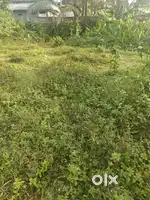 30 Cent Land with 40 Ft Access Road – Ideal for Godown – Vengola