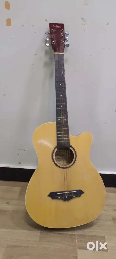 beginners guitar in cheap price