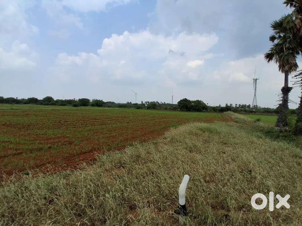 97 Cents Agri land for sale Near Thoppampatti Pirivu - Dharapuram
