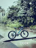 Viva V2,Cycle