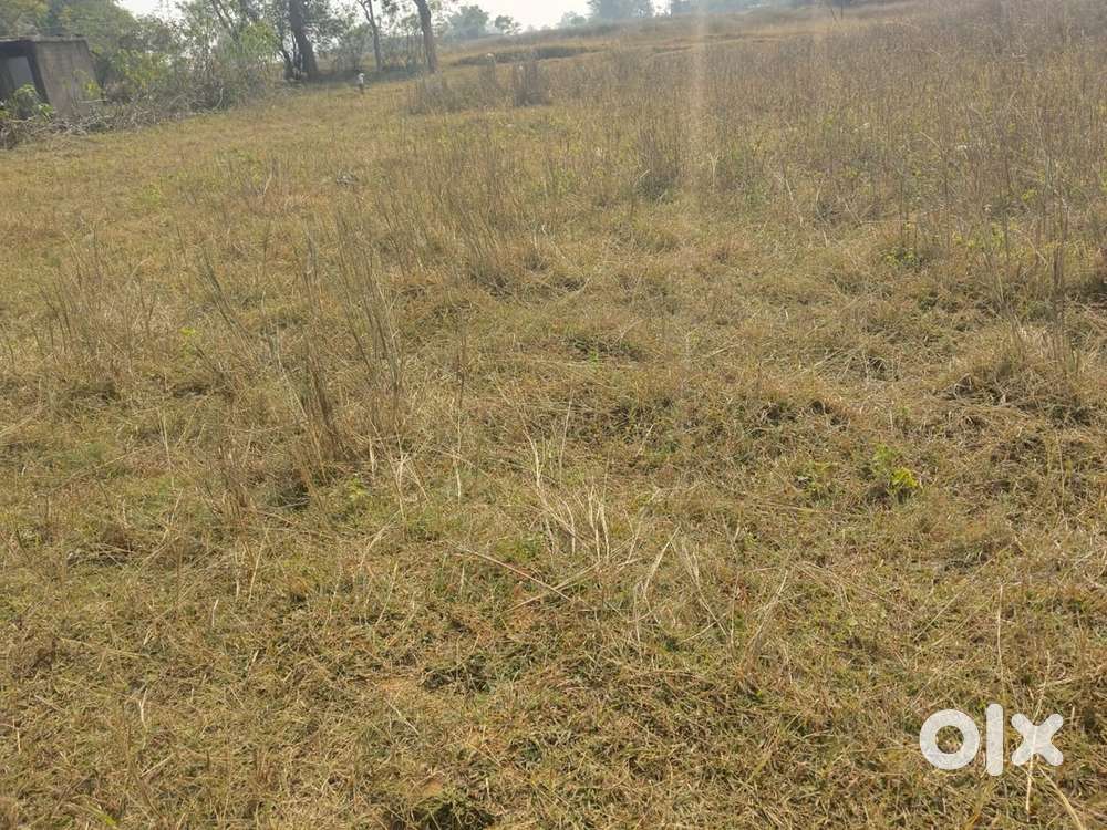 10 Dismil ST pt plot