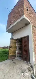 60 Gaj jameen mau lan par gulab Bagh