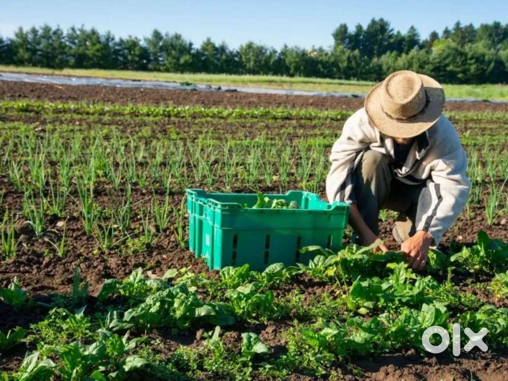 फार्महाऊस वर माणूस जोडपे हवे आहे बदलापुर