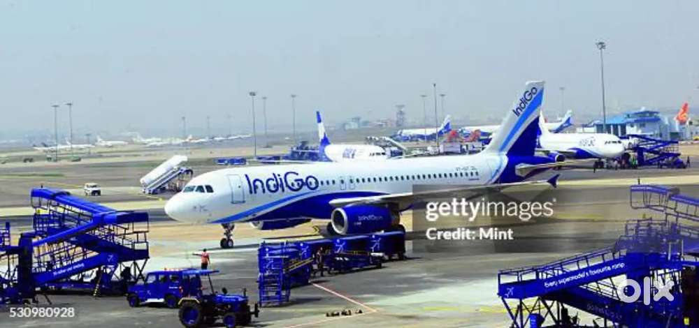 Indigo Airlines jobs Vacancy for Airport Ground staf/Driver/Cabin Crew