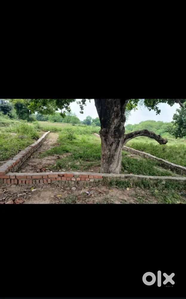 Plot in Kanihar, Jhunsi, prayagraj