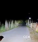 Car fog lamp projector
