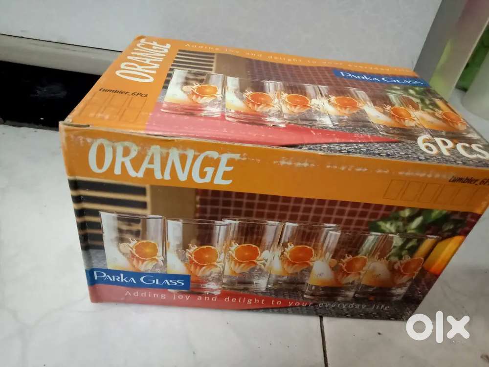 Parka glasses brand new