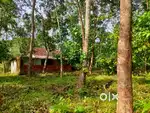 3 acer plot